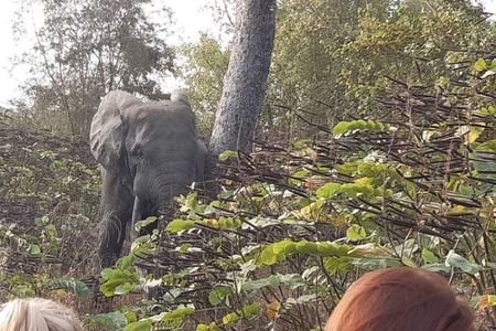 3 Days Trip to Mole National Park 