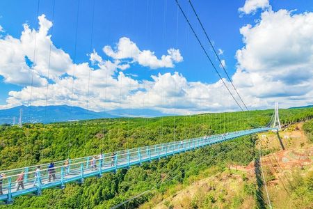 Do You Want to Try Skywalk? A New Way of Enjoying Hakone!