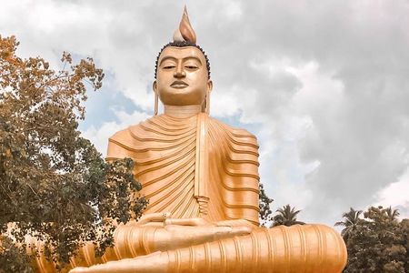 Temples and Wilderness from Negombo (2 Days)