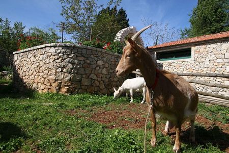 Korcula Island Mountain E Bike Private tour with lunch
