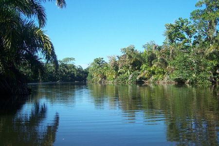 Mangrove & Gandoca Lagoon