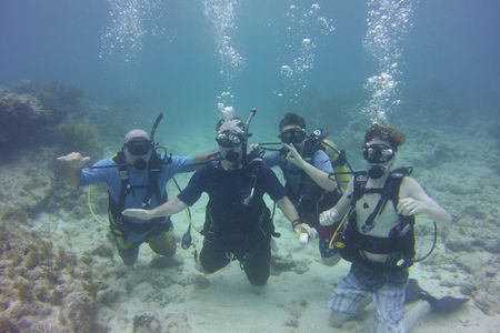 SCUBA Dive Key Largo Reef (min 6 divers)
