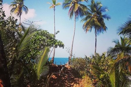 Hike in the Gandoca-Manzanillo Refuge