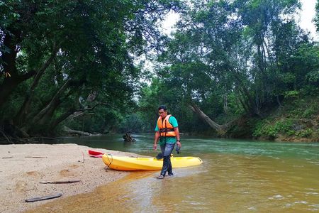 Terengganu Wildlife Kayak Tour