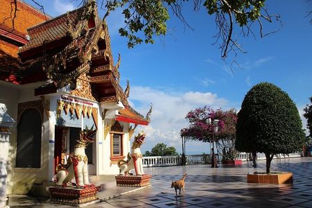 Best Chiang Mai City Tour: Viewpoint, Doi Suthep, Wat Chedi Luang