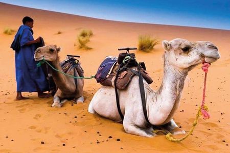 3 Days 2 Nights From Errachidia to Merzouga Desert