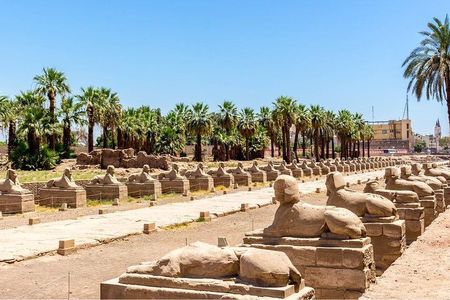 Luxor West Bank, Valley of Kings and Felucca Ride