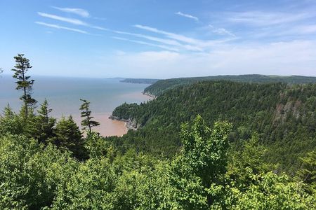 Bay of Fundy Tour by Bus