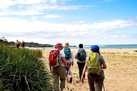 4 Day Murramarang Walk departs Canberra - Guided with Villa Accom