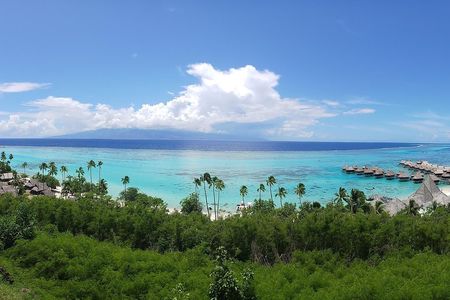 Blue Pearl Private Tour