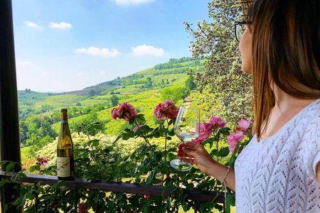 Full Day Prosecco and Cheese Tasting from Venice