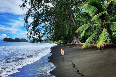 Unique Tahiti Tour - personalised, small group east coast tour