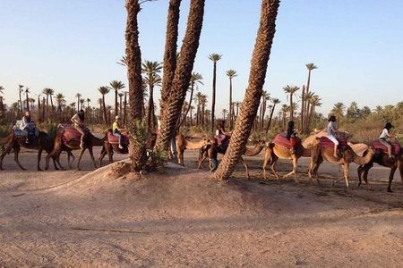 Majorel Marvels: Garden Excursion with Camel Ride in Palmeraie