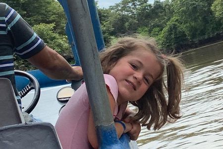 Tempisque River Monkey, Crocodile and Tropical Birds Boat Safari