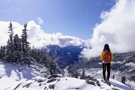 "Best of Mount Rainier National Park" Experience from Seattle