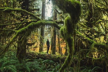 Best of Olympic National Park from Seattle: All-Inclusive Small-Group Day Tour