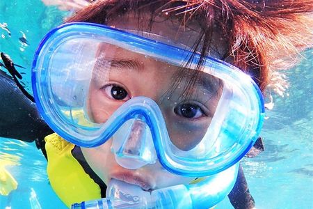 Charter Snorkeling (near Churaumi Aquarium) Free photo gift