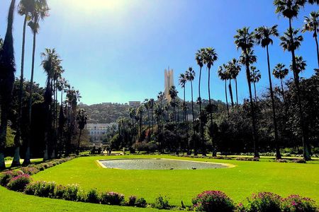 4 Days 3 Nights Private Trip in Algiers & Constantine