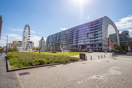 Best Intro Tour of Rotterdam with a Local
