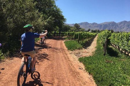 Franschhoek Cycle & Tasting Experience 4hr (Shared)