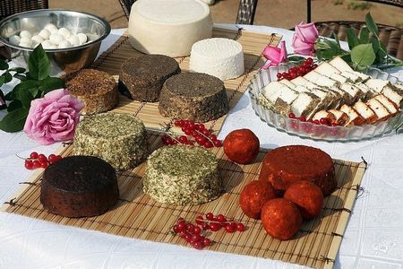 Private day tour from Vilnius to goat Cheese farm and Kernave historical capital