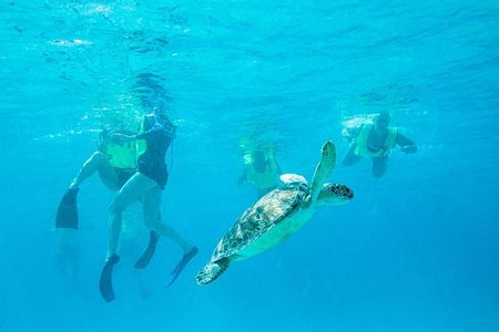 National Park Snorkeling Excursion