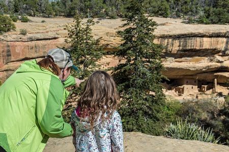 700 Year Tour - Half Day Mesa Verde Cultural Tour