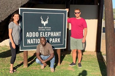 Addo Elephant National Park Day Tour from Port Elizabeth 