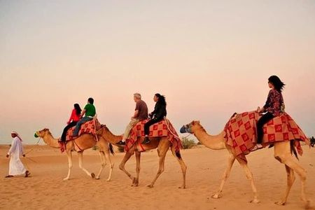 Desert Safari With Camel Ride