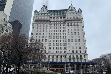 Private Walking Tour: 5th Avenue and the Gilded Age Mansions