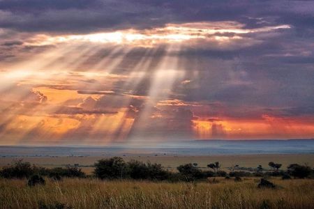 6 Days Maasai Mara/Nakuru/Amboseli Group Safari