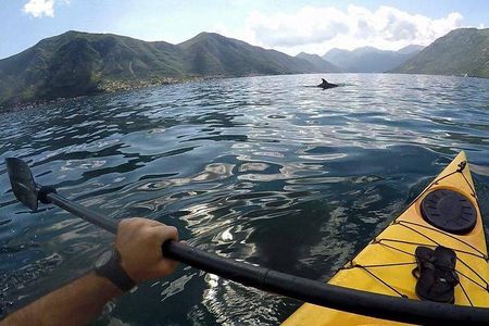 Kayak active tour