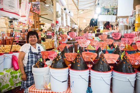 Journey Through La Merced 