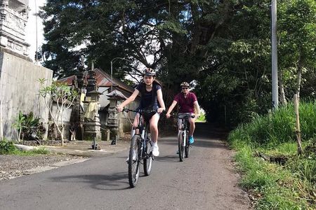 Half Day Cycling Tour ( Manual Bike )