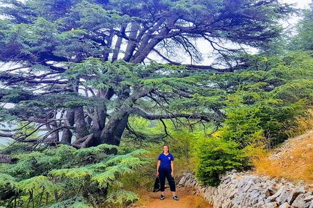 Guided Full-Day Private Trip to Cedars, Baalbek and Chateau Ksara 