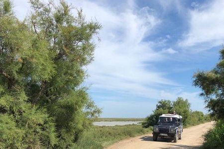 4x4 Camargue Safari 4h - Departure from Arles