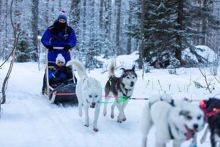 Husky safari