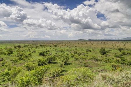 2 Days Pian-Upe game Reserve