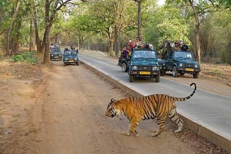 Private 5 Days Delhi Agra Jaipur Ranthambhore Tour From Delhi 