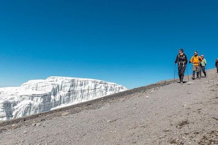 Mt Kilimanjaro Trek, 6 Days - Umbwe Route 