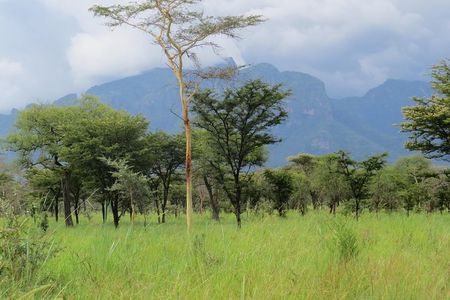 4 Days Sipi Falls and Pian-Upe national Park