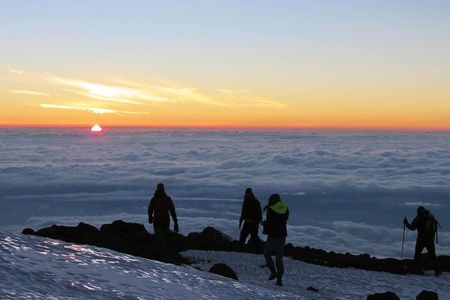 Mount Kilimanjaro 8-Days; Lemosho Route 