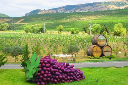 Organic Wine Tour Shamakhi with Local Lunch