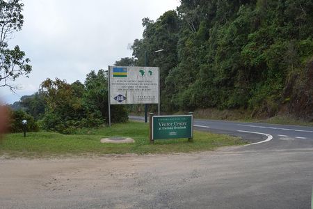 2 days Chimpanzee Tracking and Canopy Walk Nyungwe