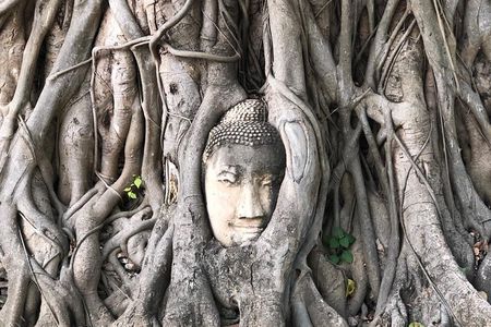 Ayutthaya One Day Tour go by Coach - back by River Cruise - Grand Pearl Cruise
