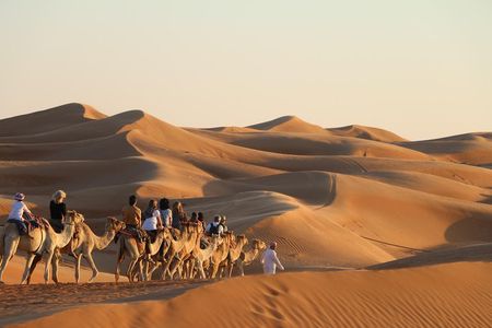 Wahiba Sands Safari with Wadi swimming and Camelride