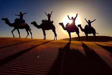 12 Days from Casablanca