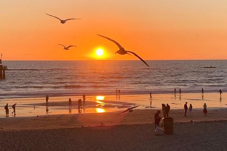 Malibu Stars Homes & Beautiful Beach Tour