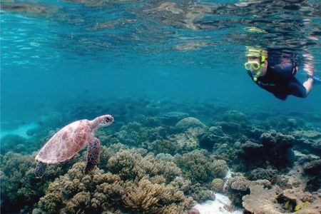 4.5 Hour Snorkeling, Diving With Private Beach Access & Lunch