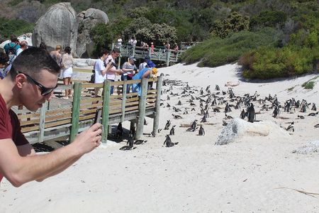 Cape Of Good Hope Bo-Kaap Penguins Full Day tour From Cape Town